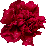 Same creative flower